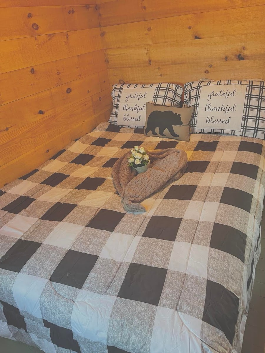 Muskoka Lake Cottages photo 3