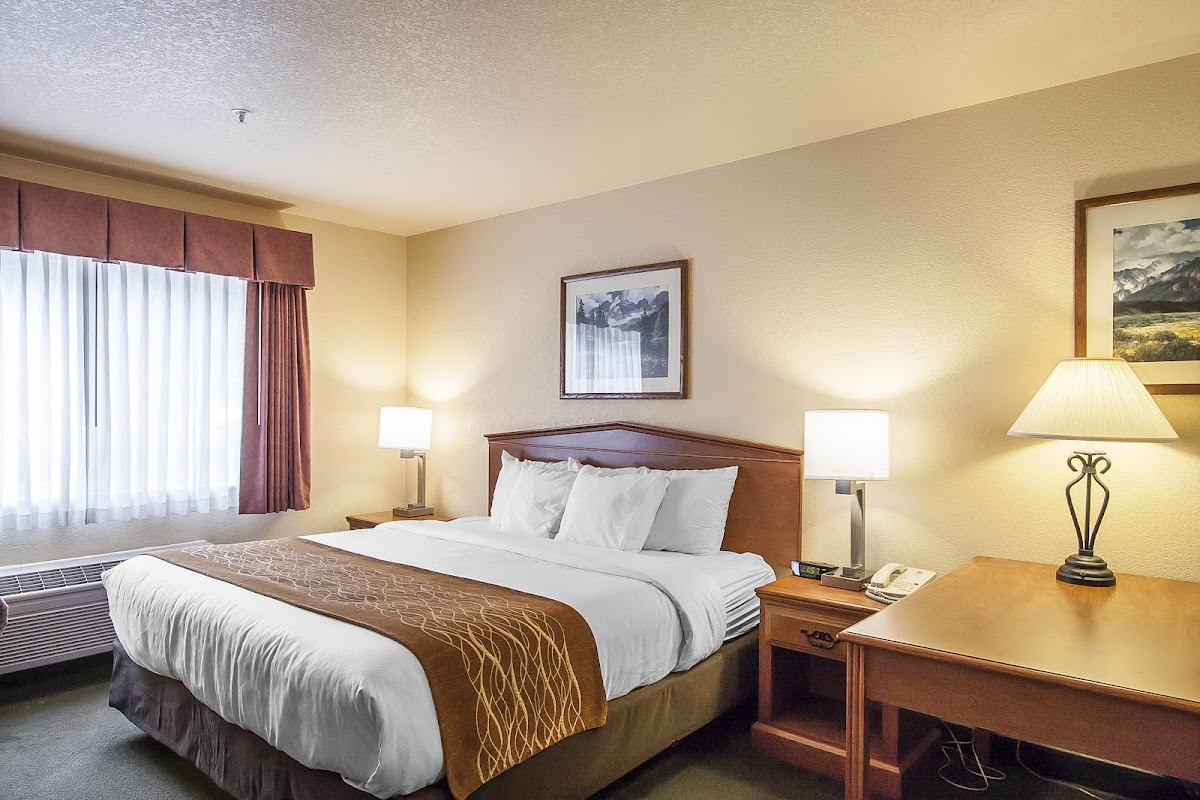 Comfort Inn & Suites Tualatin - Portland South photo 2