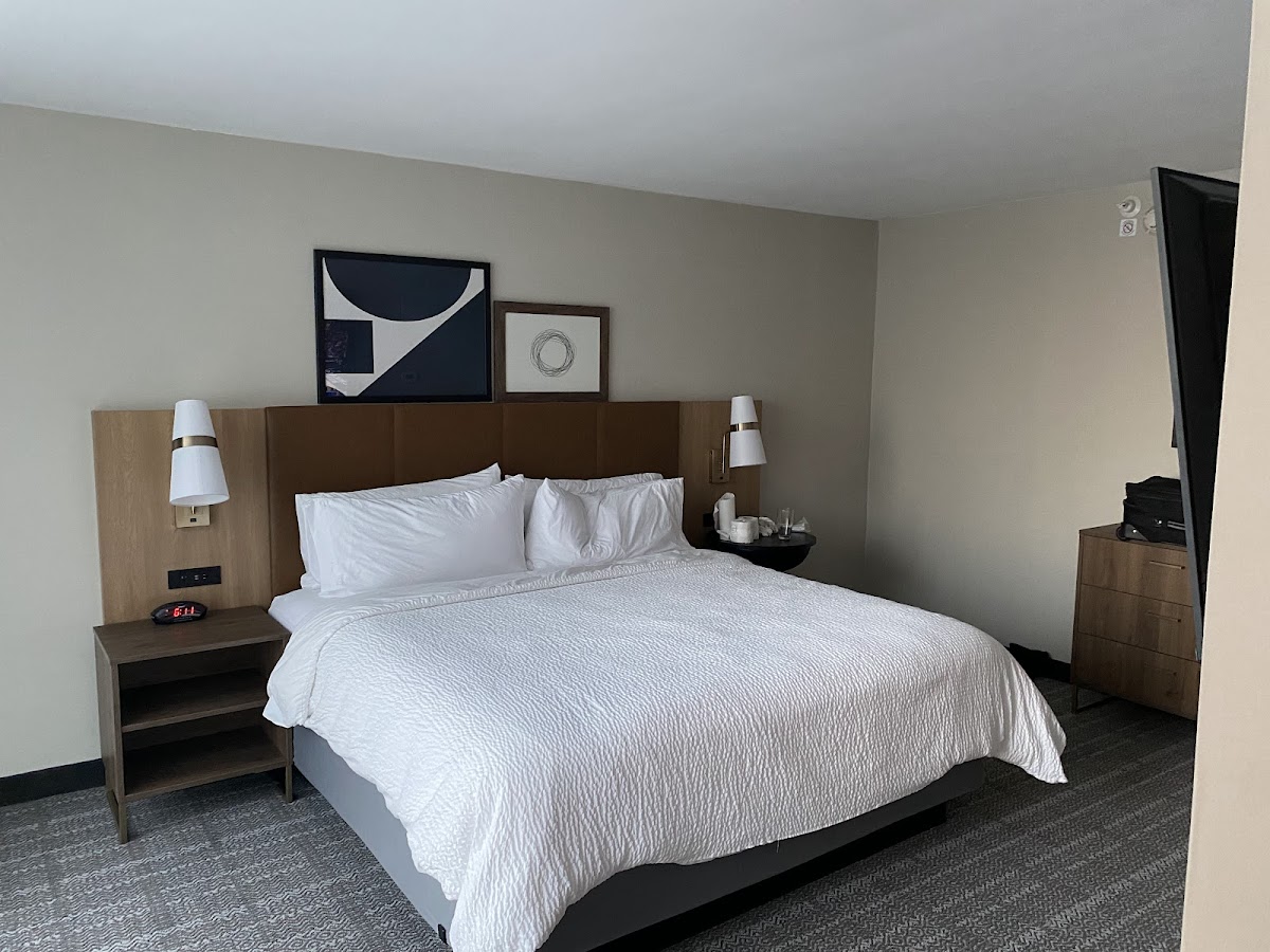 Holiday Inn Staybridge Suites Dallas photo 2