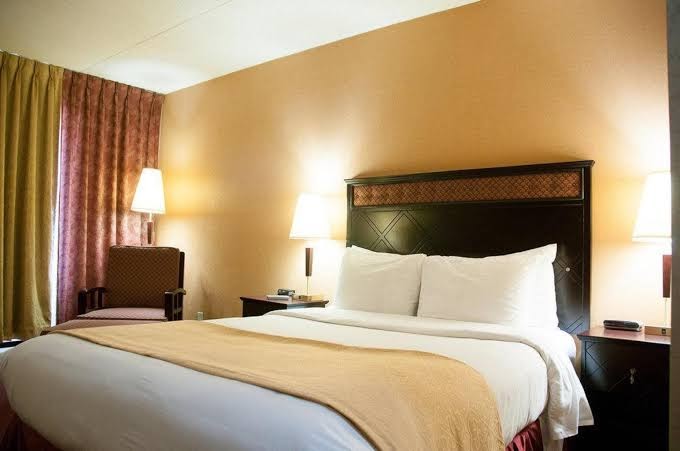 LeLux Hotel photo 3