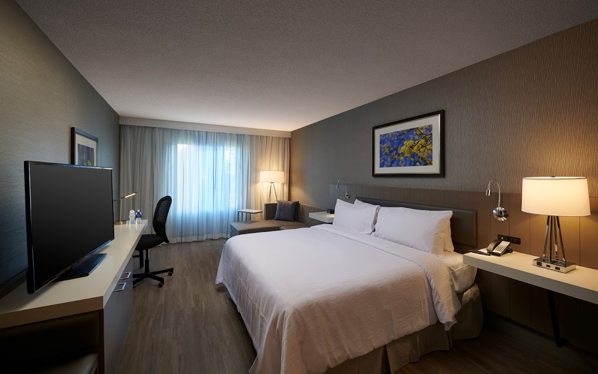 Hilton Garden Inn St. John's Newfoundland photo 3
