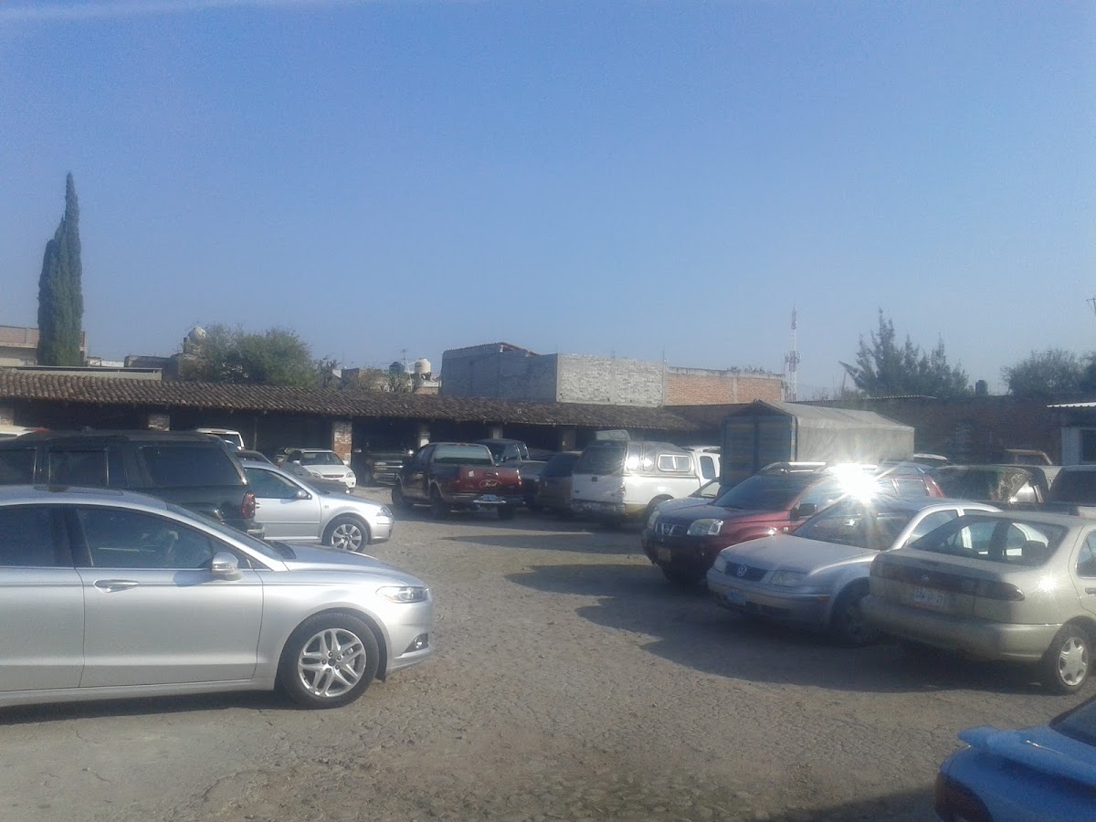 Galeana