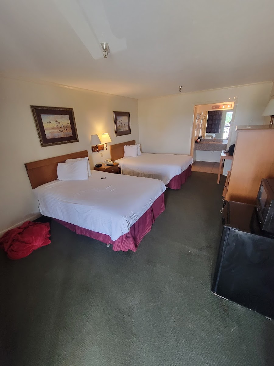 Room 9