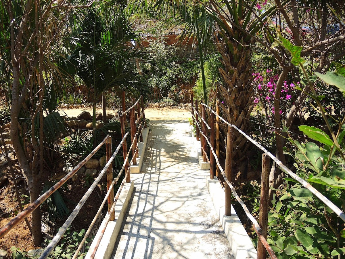 Cabañas Miramar photo 2