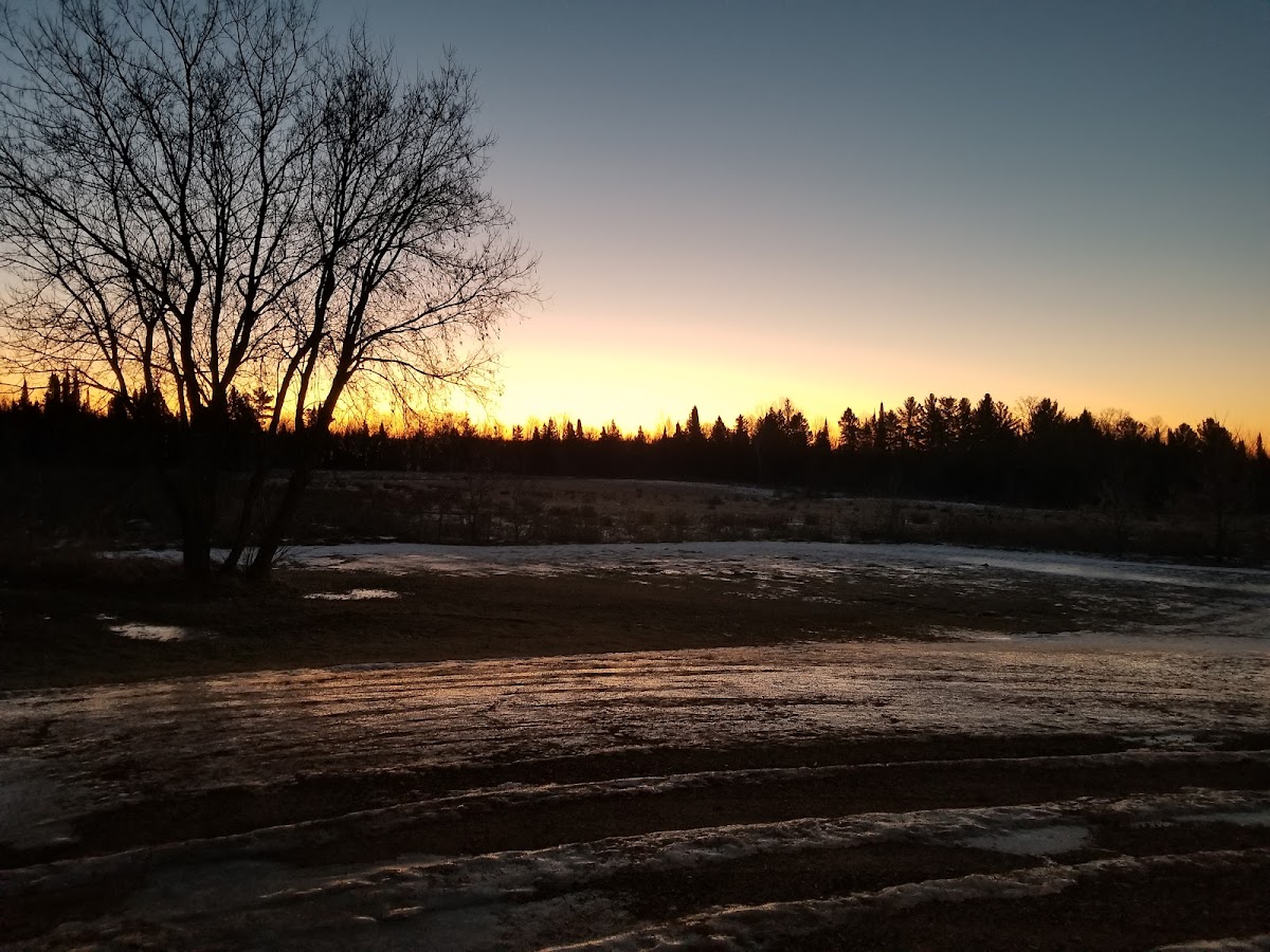 Country View Motel photo 3