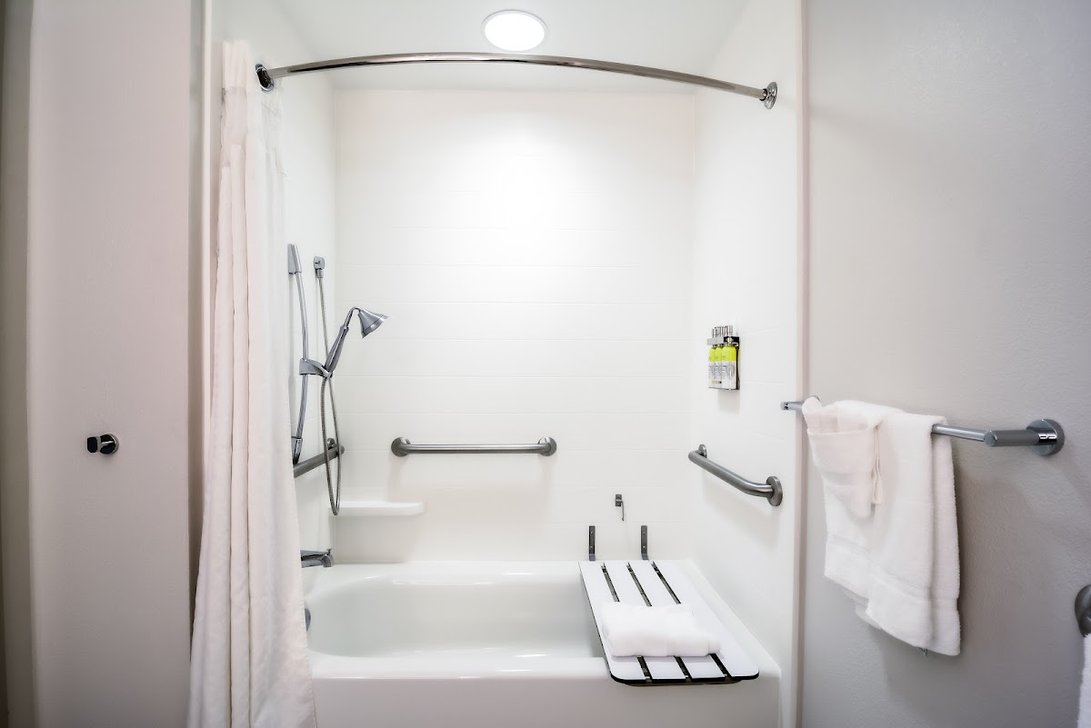Holiday Inn Express & Suites Tampa -Usf-Busch Gardens by IHG photo 2