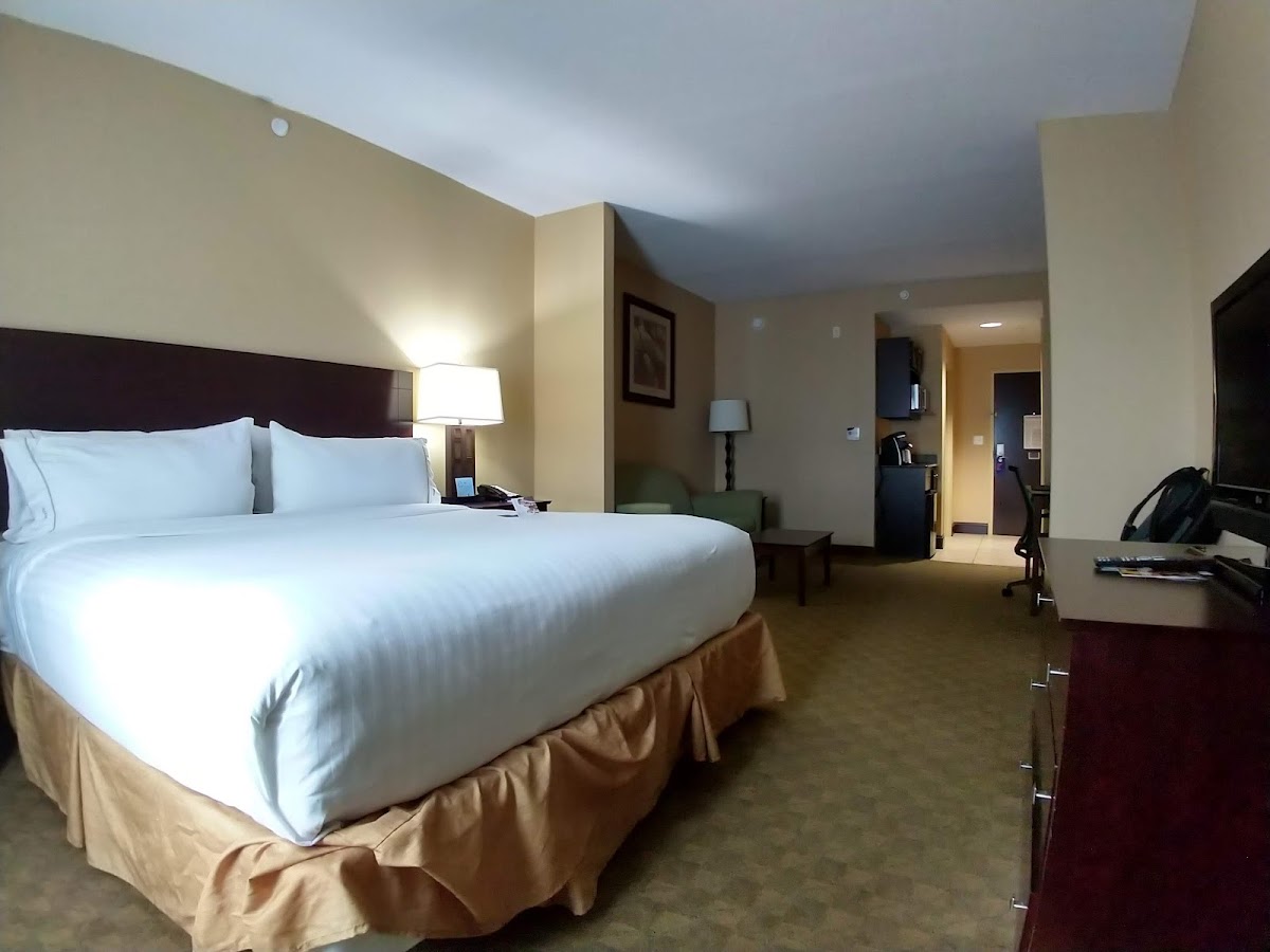 Holiday Inn Express & Suites Tampa -Usf-Busch Gardens by IHG photo 3