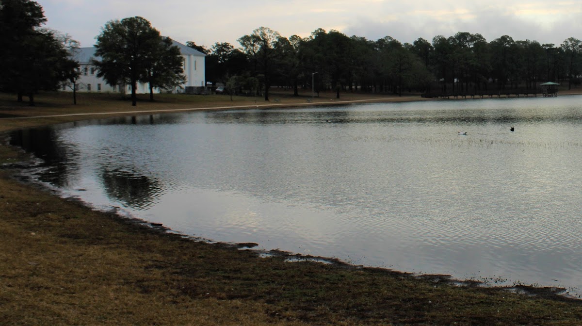 Lake DeFuniak