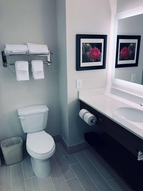 Best Western Plus Coachella Valley Inn & Suites photo 2