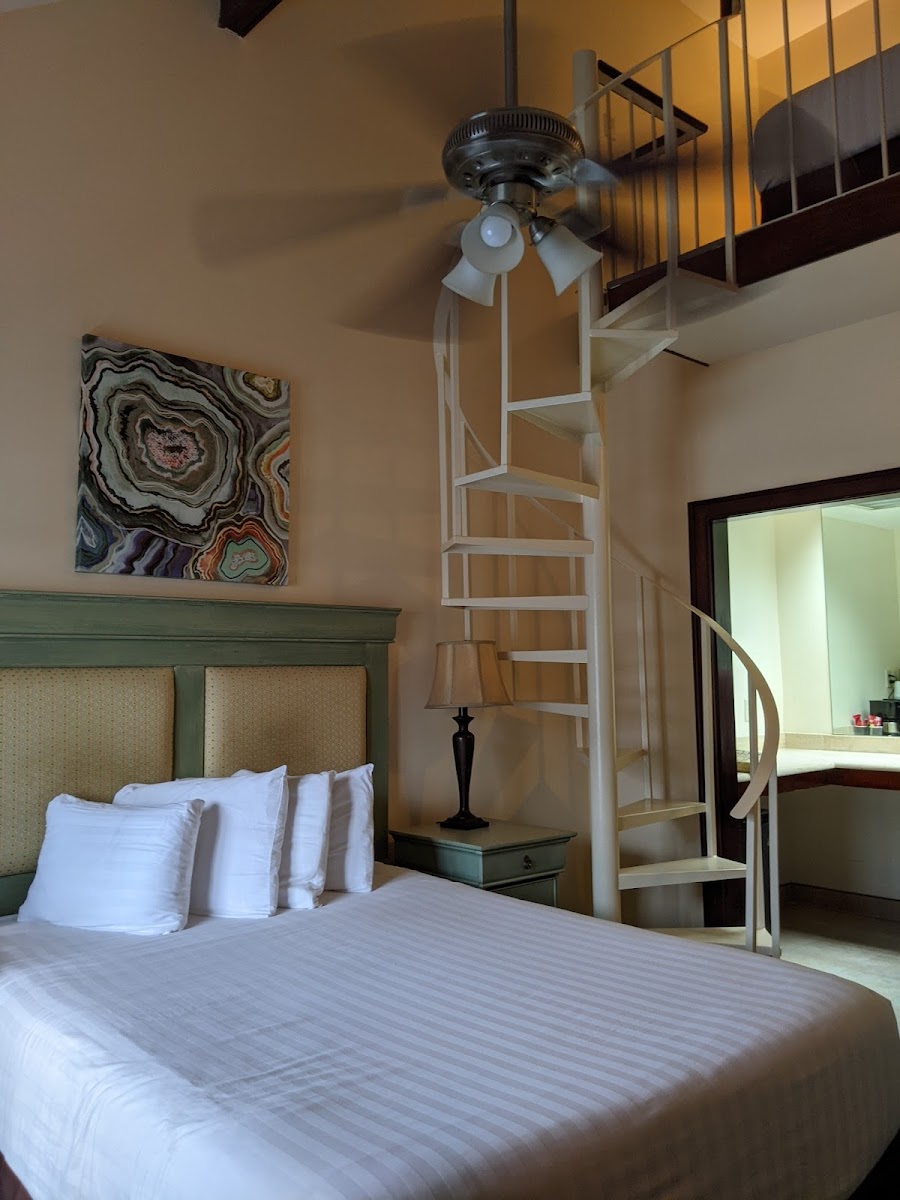 Prytania Park Hotel photo 3