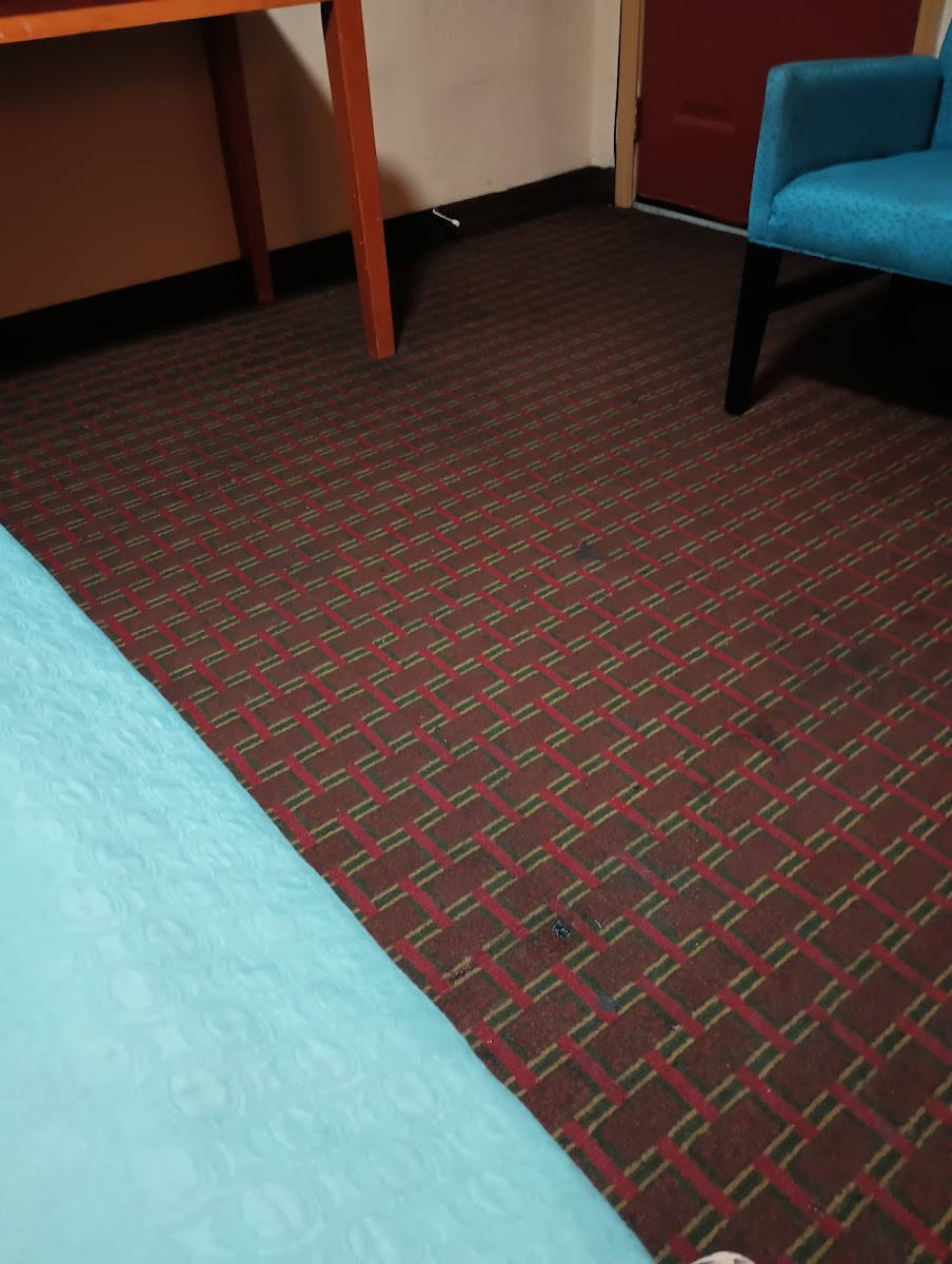 Deluxe Inn Lawton photo 3