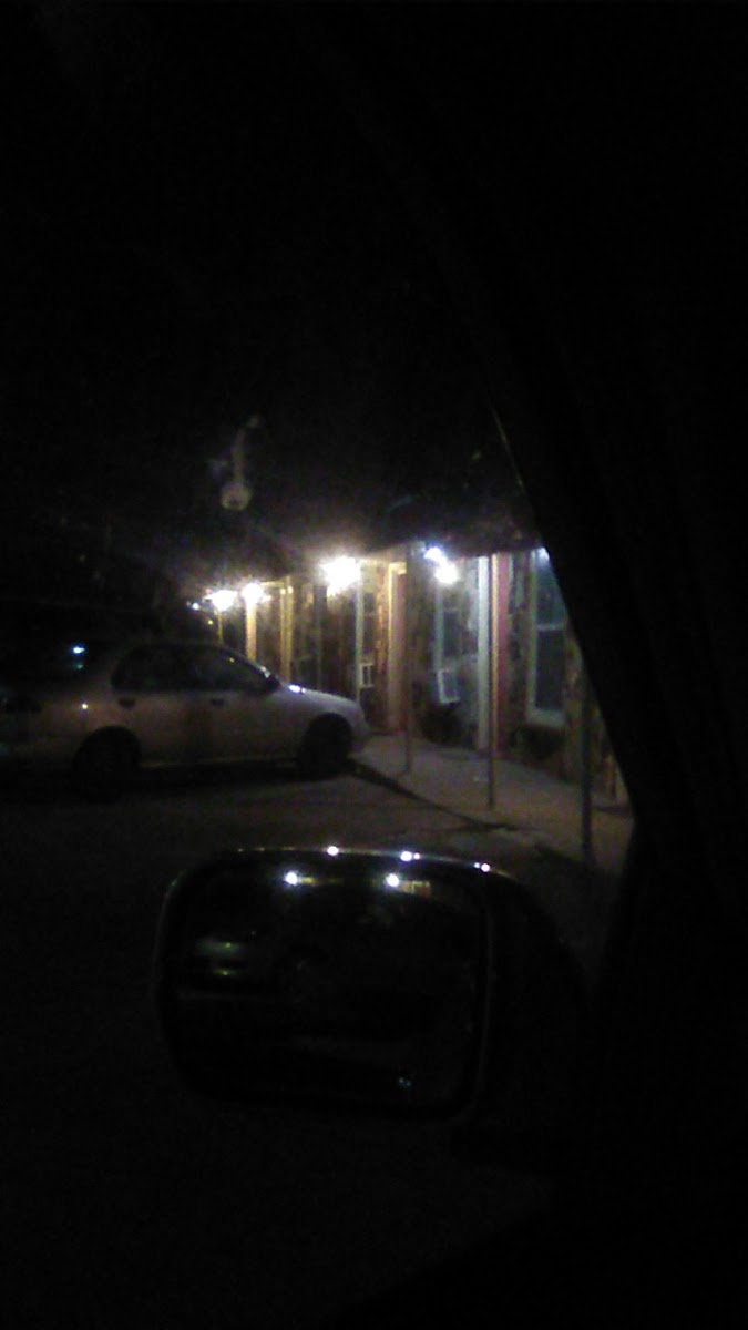 Flags Motel photo 3