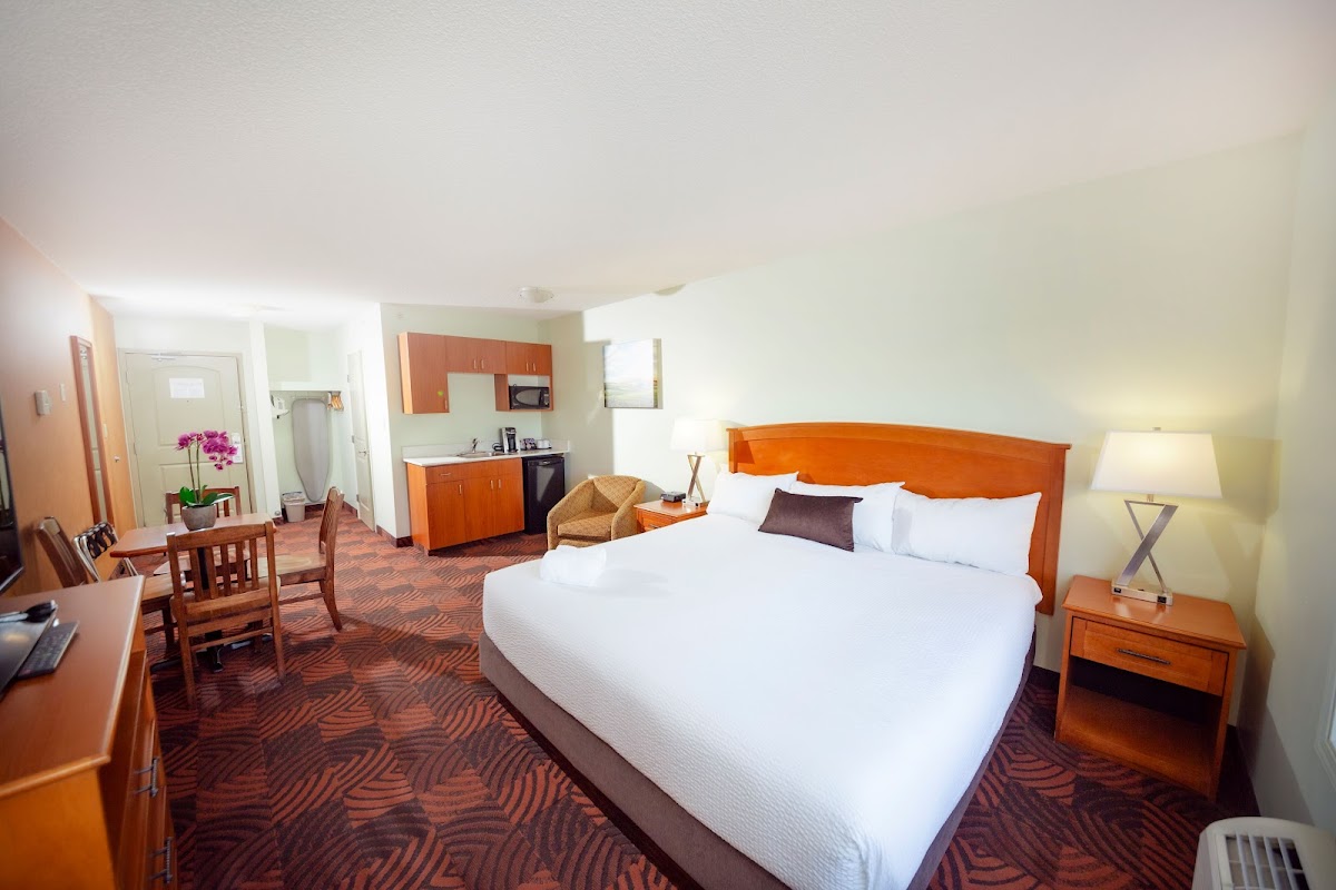 Service Plus Inns and Suites photo 2