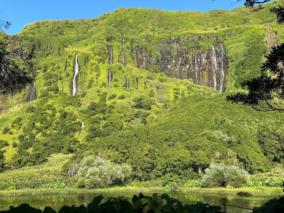 Poço da Ribeira do Ferreiro