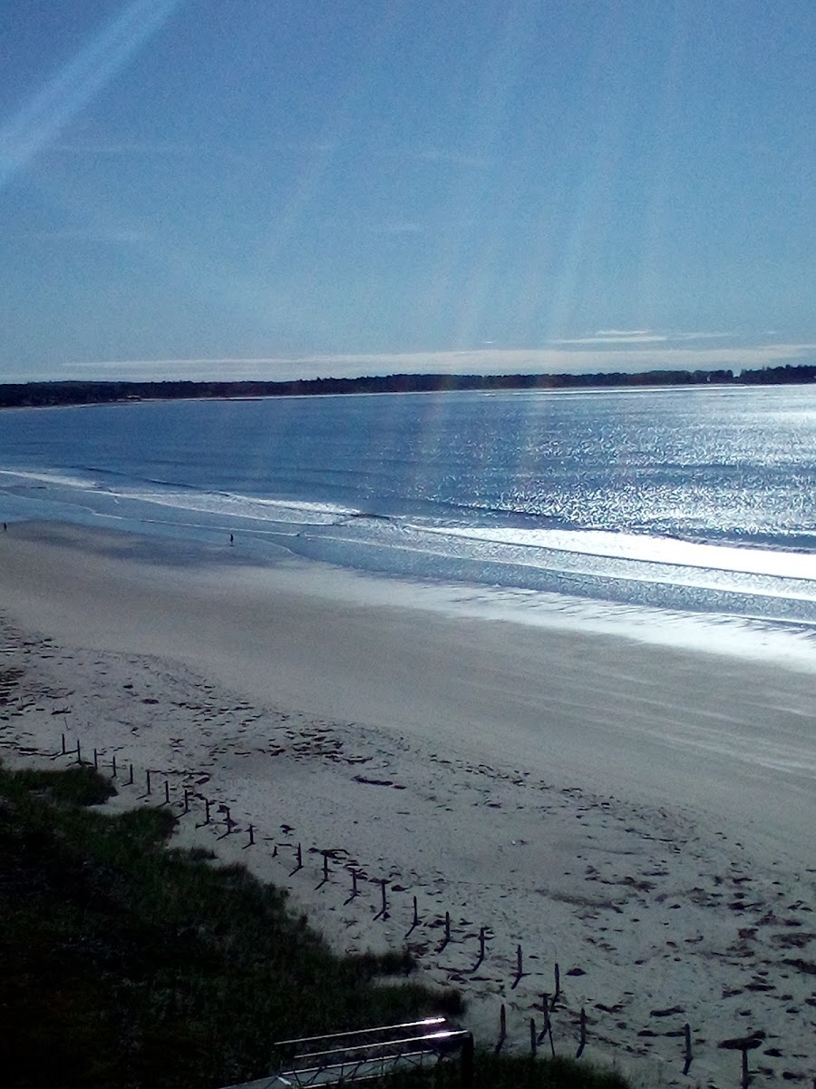 Old Orchard Beach Motel photo 3