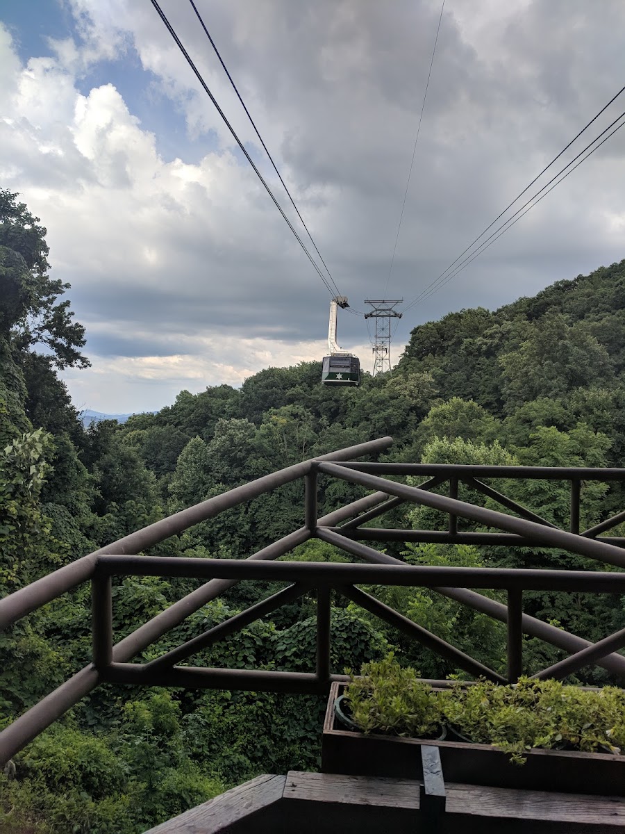 Gatlinburg Summit photo 3