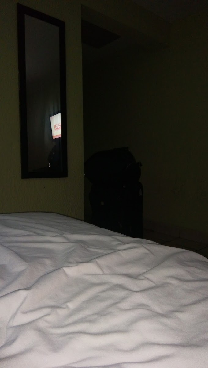 Room 7