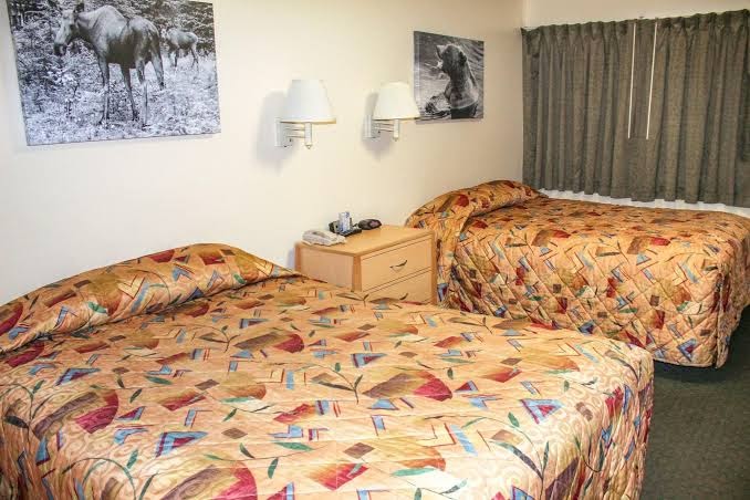 Puffin Inn of Anchorage photo 3