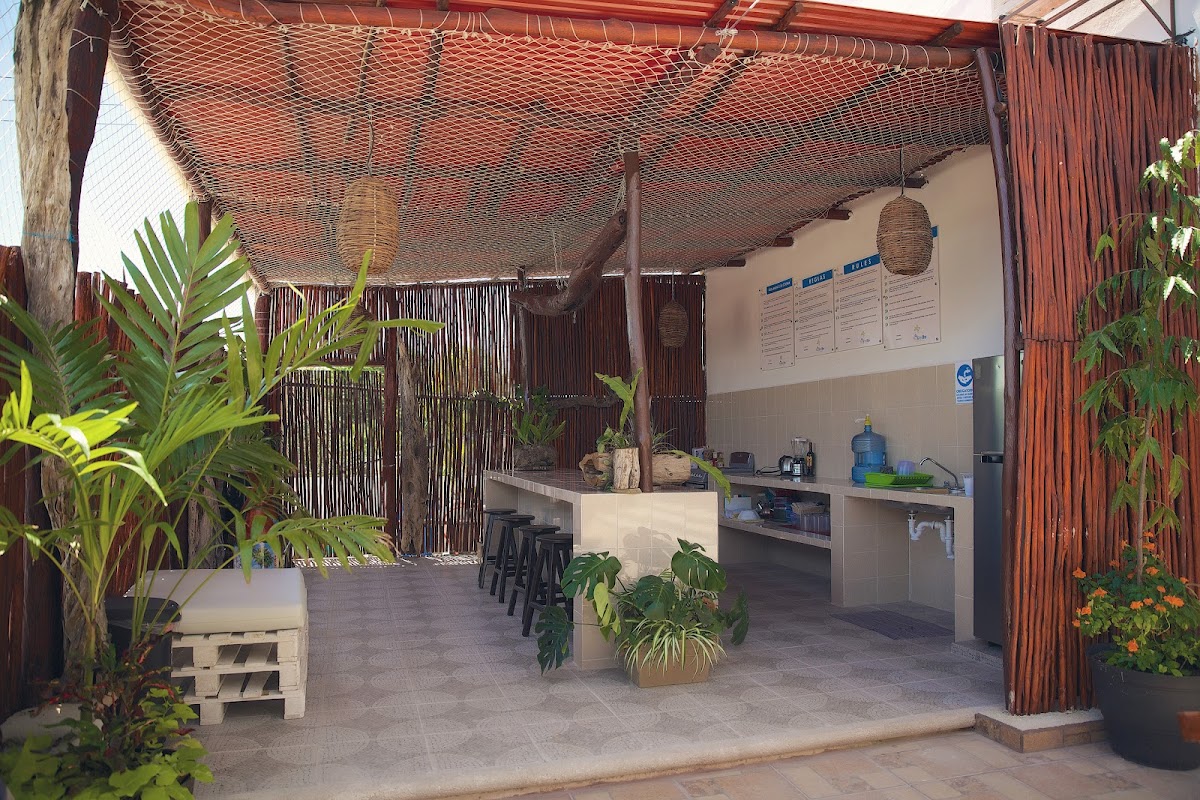 HOSTELITO CHETUMAL photo 2