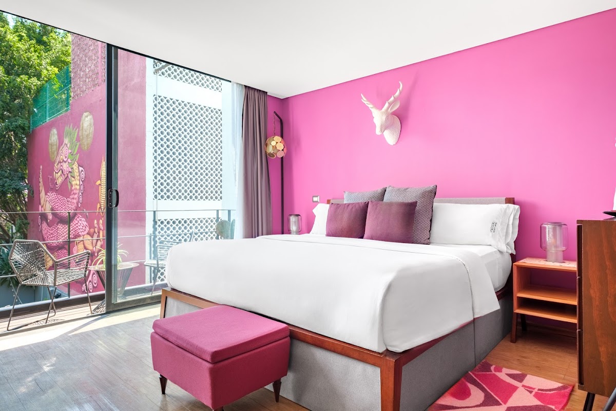 HOTEL PUG SEAL POLANCO ALLAN POE photo 3