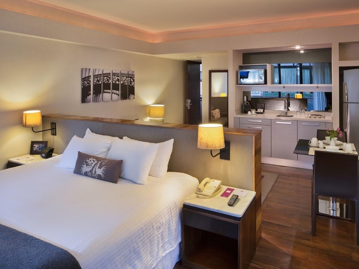 Las Suites Campos Eliseos photo 2