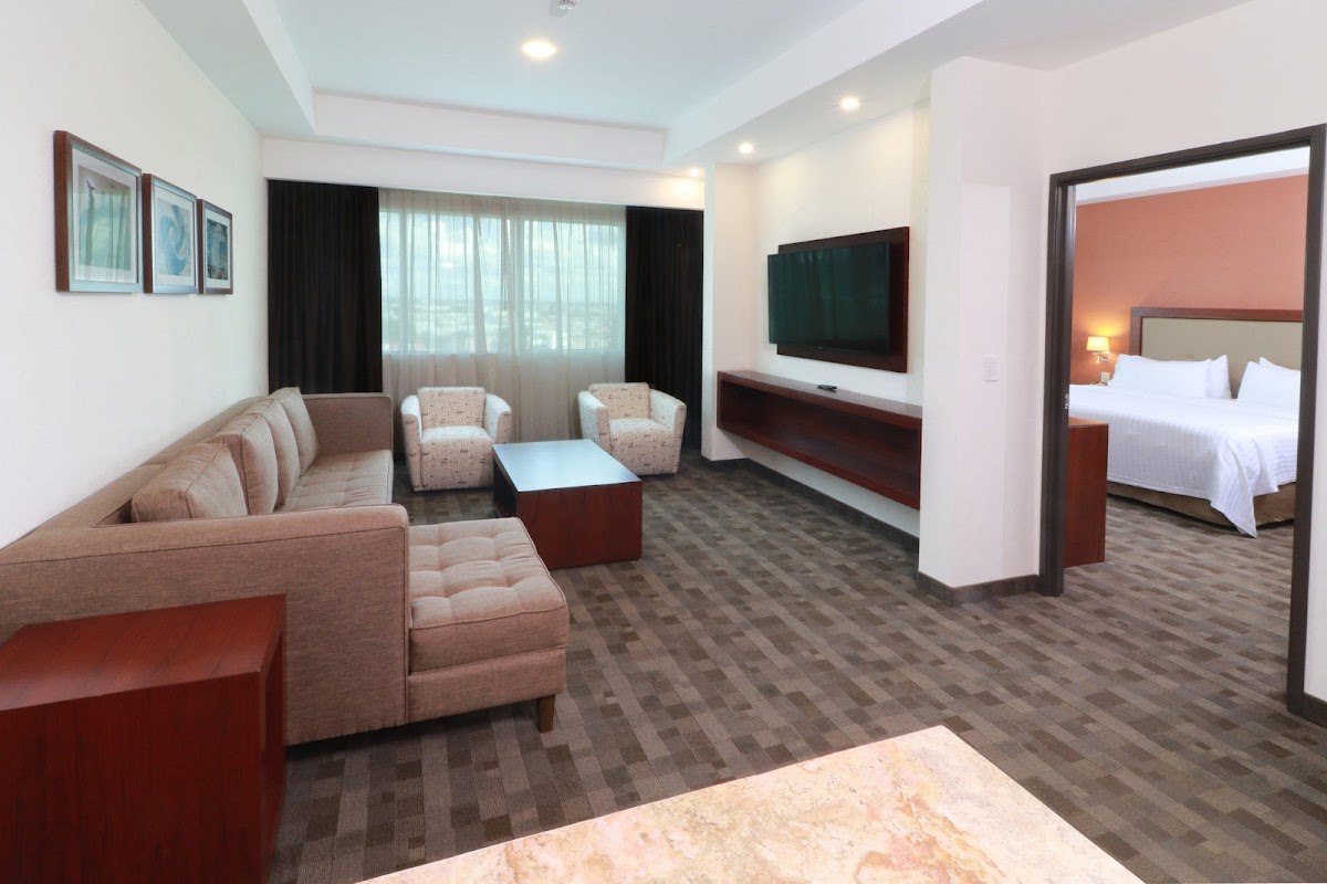 Holiday Inn & Suites Leon Plaza Mayor by IHG photo 3