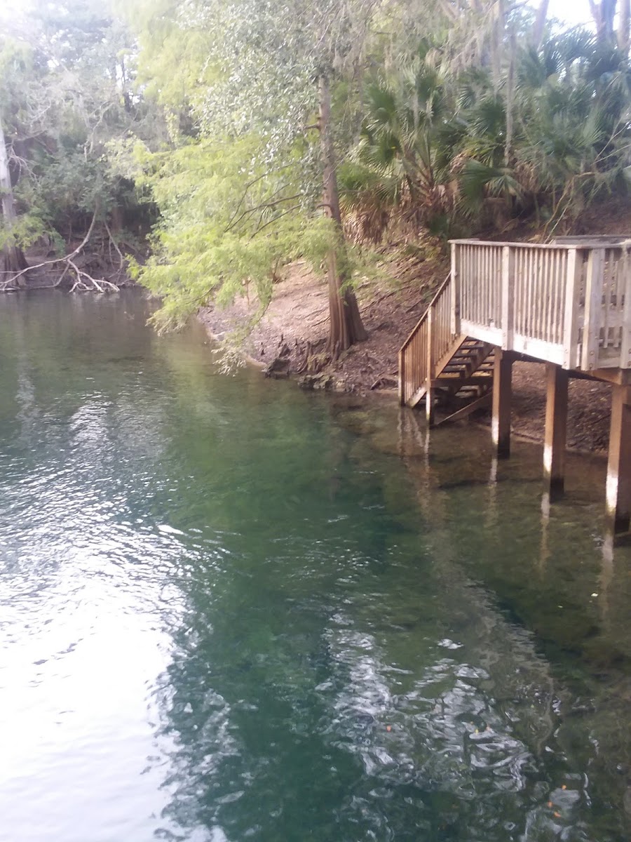 Steamboat Dive Inn photo 3