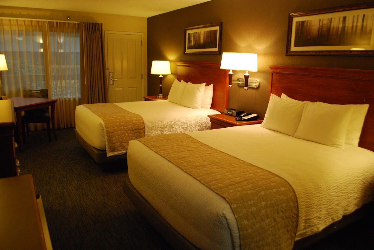 C'mon Inn Hotel of Billings, Montana photo 3