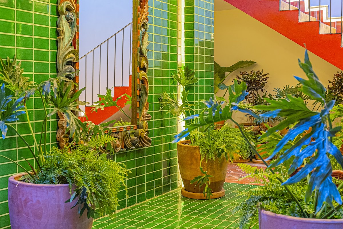 hotel casona quetzal photo 3