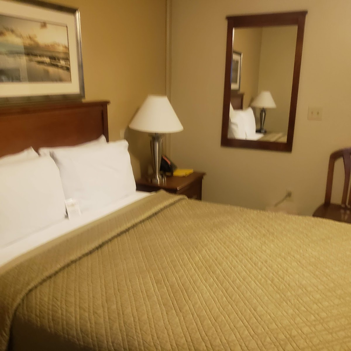 Family Lodging photo 2