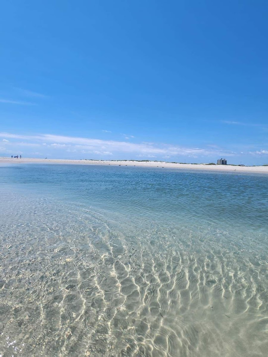 Shell Island Resort photo 2