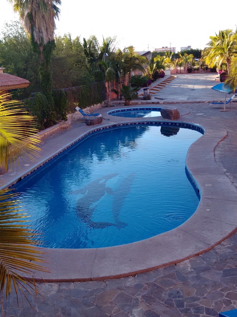 Hotel Oasis de la Paz photo 2