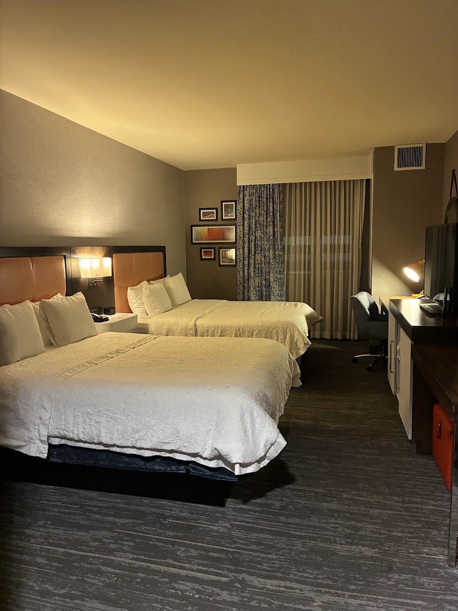 Hampton Inn & Suites Denver-Downtown photo 3