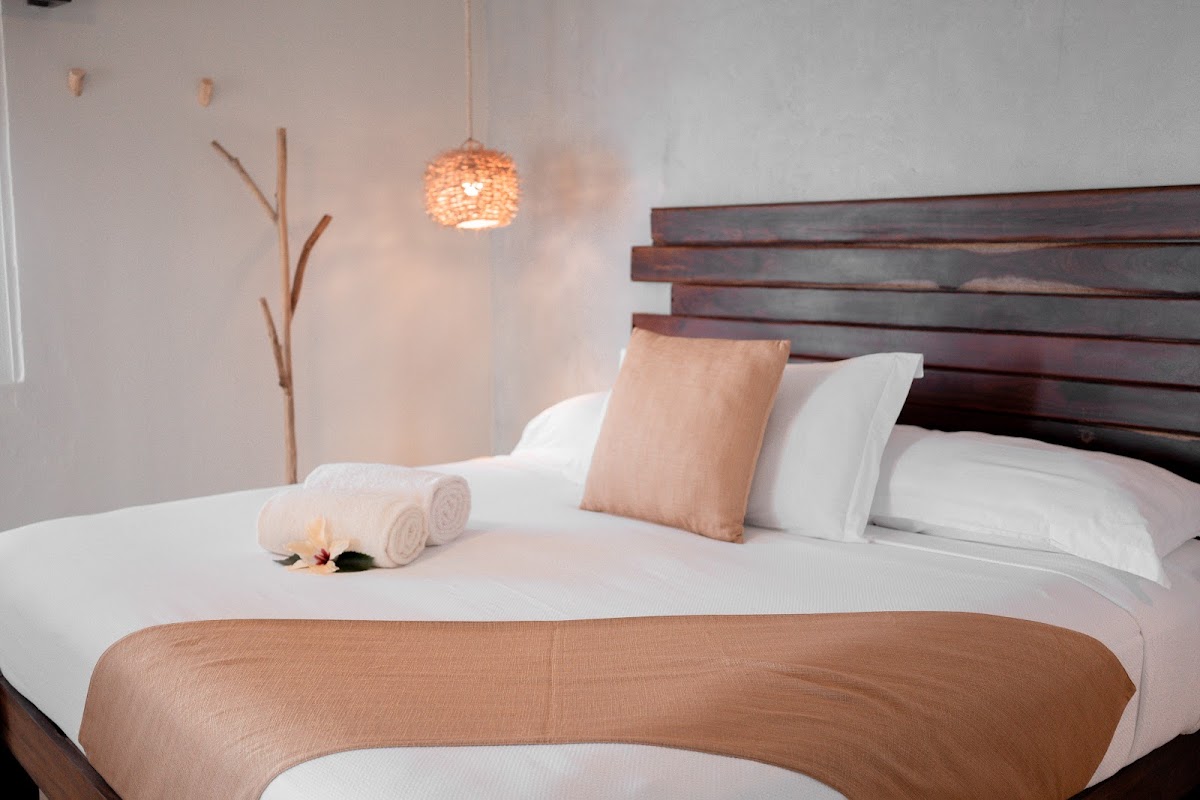 Petit Lafitte Hotel photo 3
