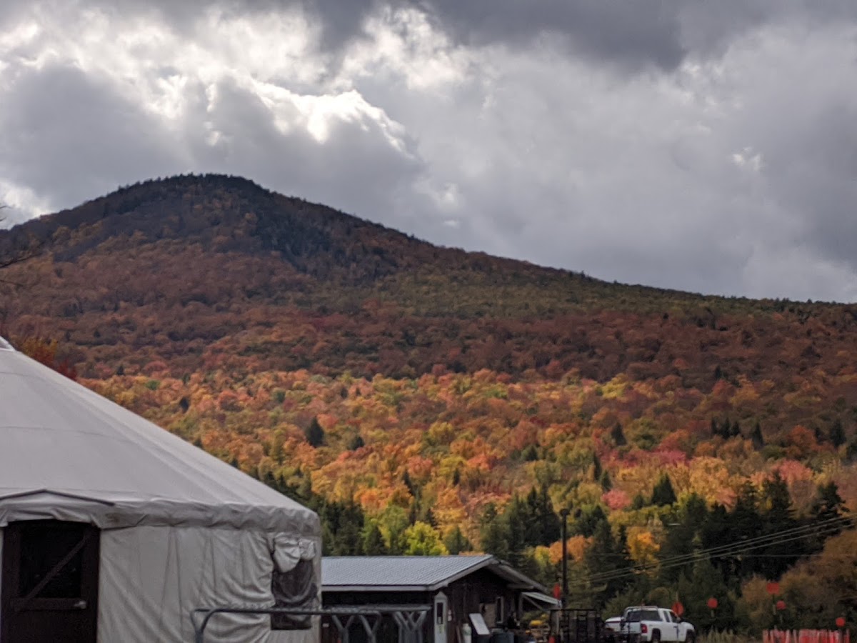 Stowe Mountain Resort's Cross Country Ski Center photo 3