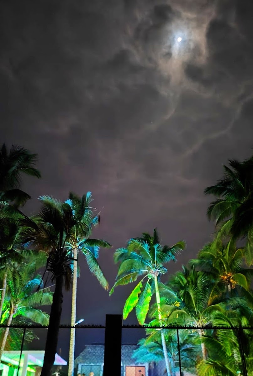 K-XA TULUM photo 2