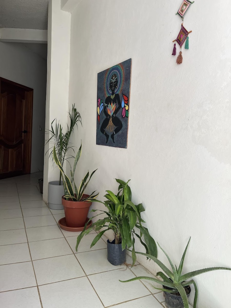 Casa Samay photo 3