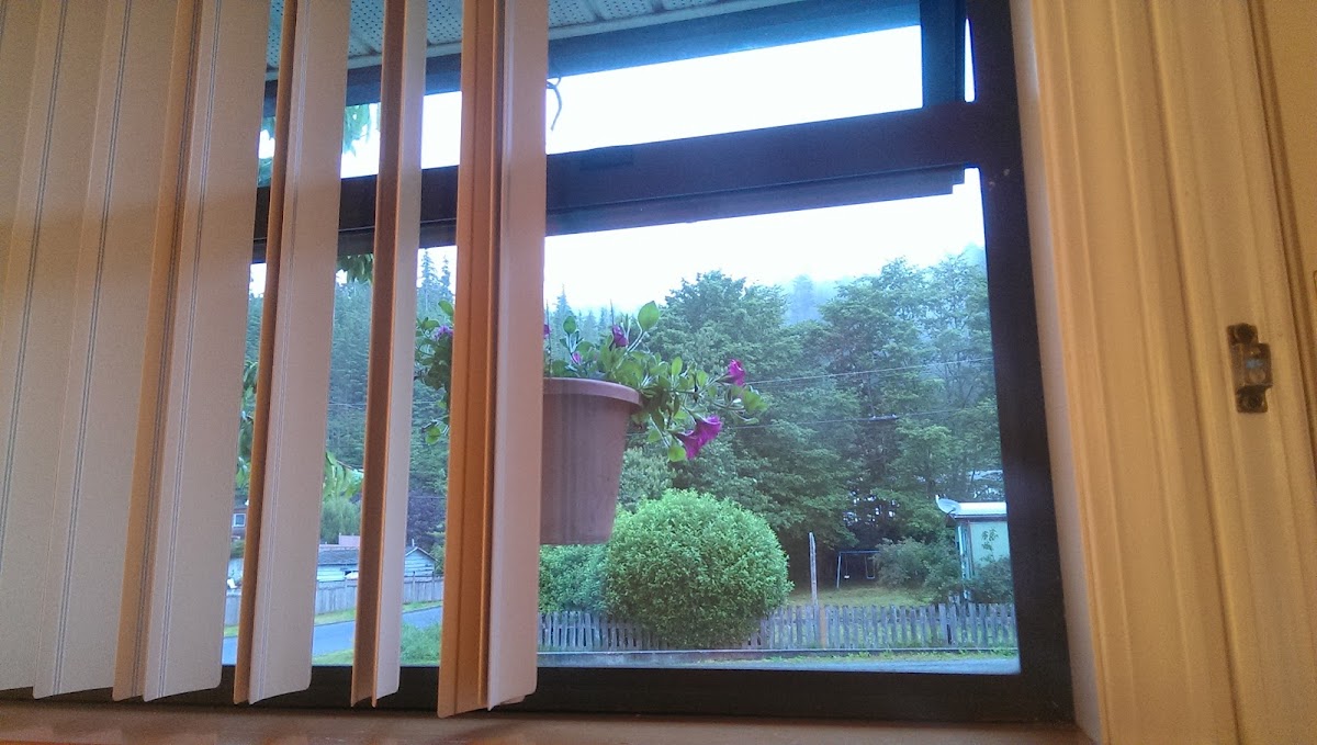 Hecate Inn photo 3