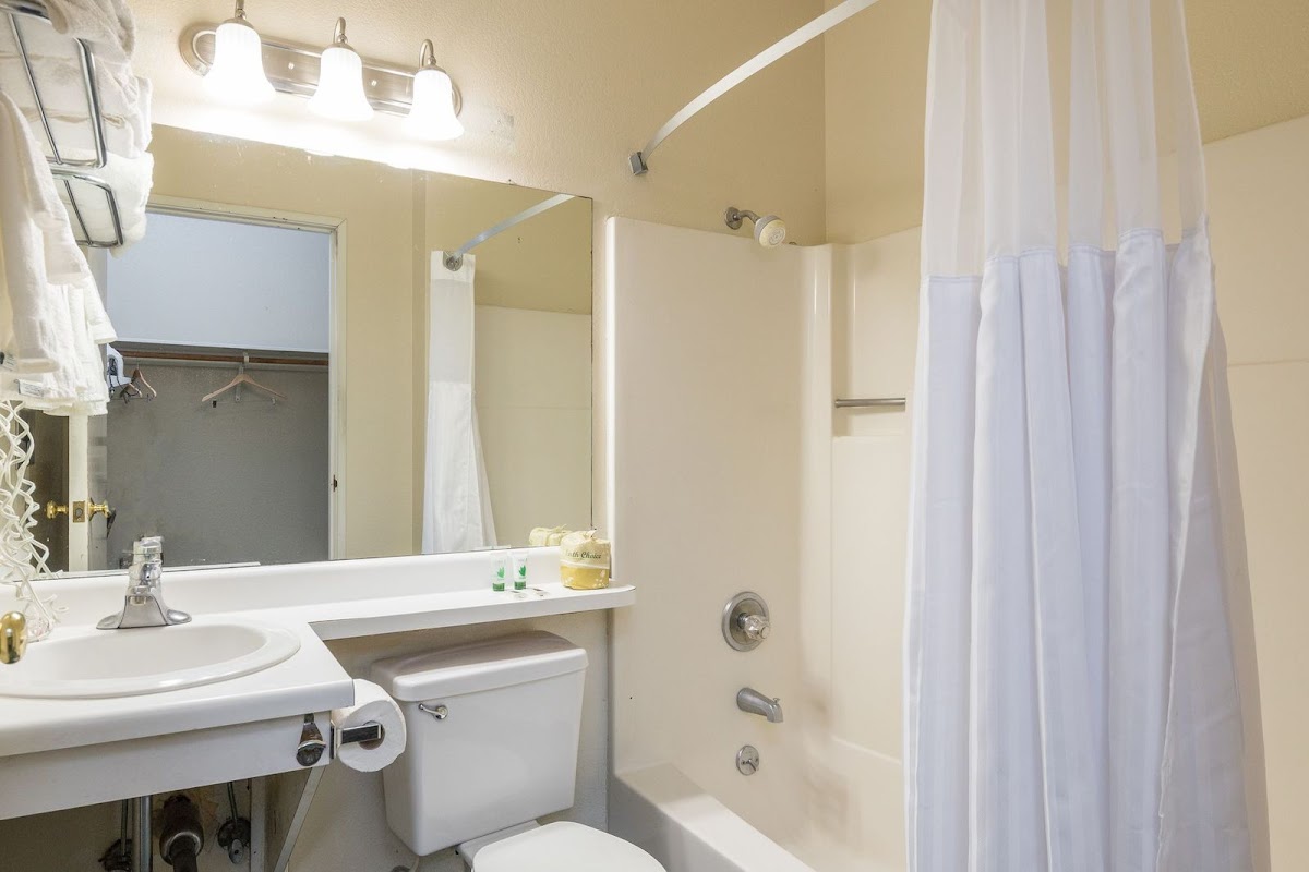 Travel Inn Sunnyvale photo 3