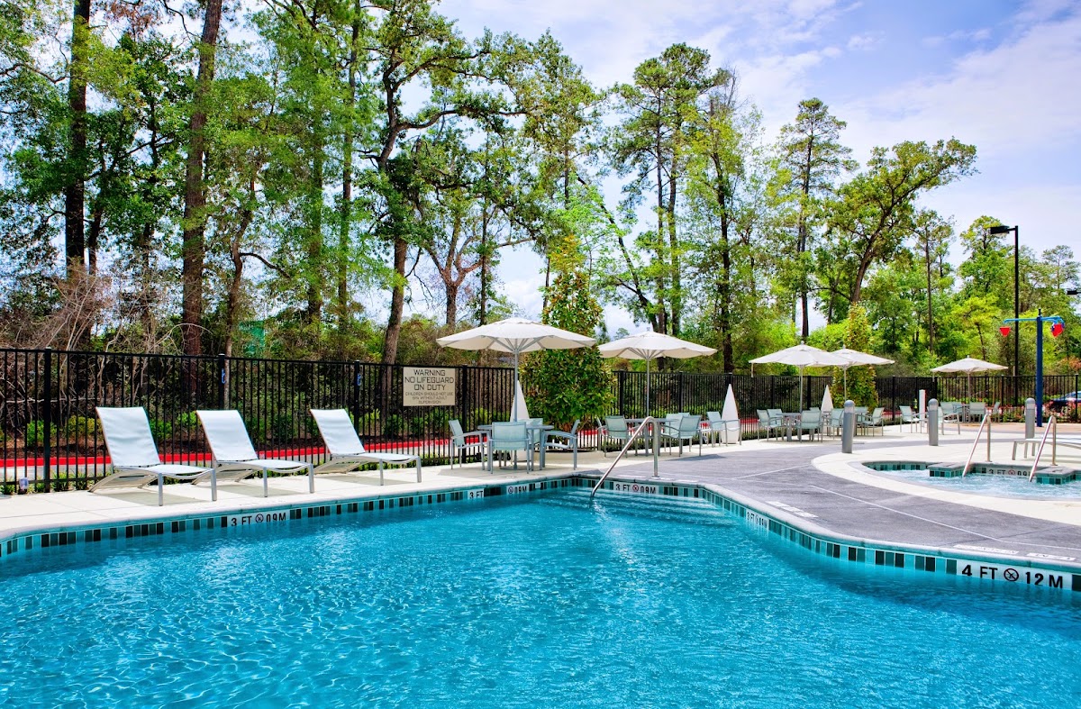 SpringHill Suites by Marriott Houston The Woodlands photo 3
