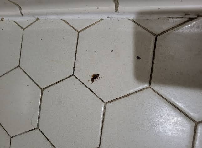 Motel 6 Macon, GA photo 3