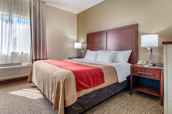 Comfort Inn Fremont photo 3