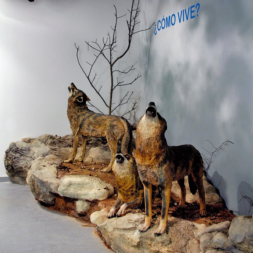 La Casa del Lobo