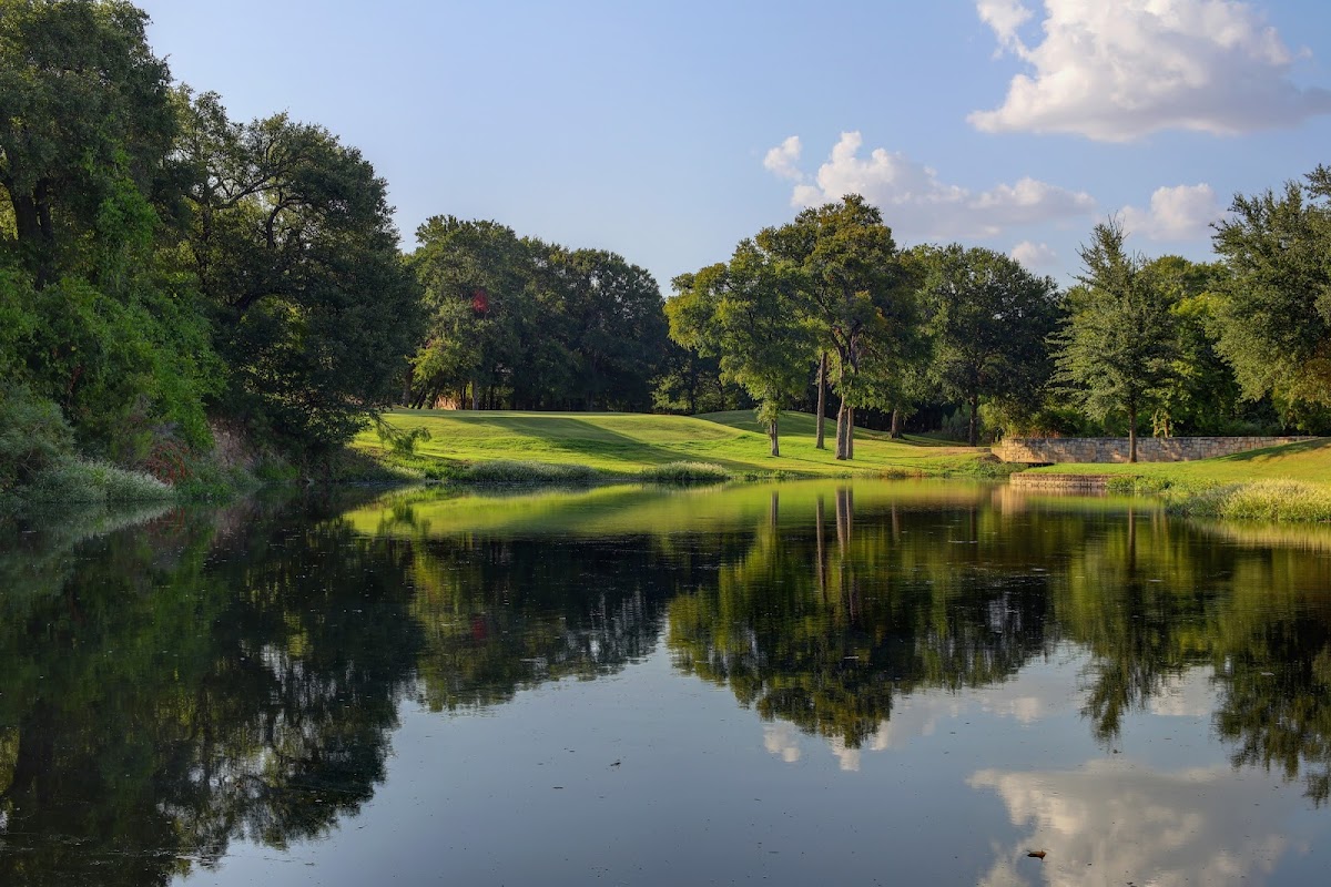 White Bluff Resort photo 3