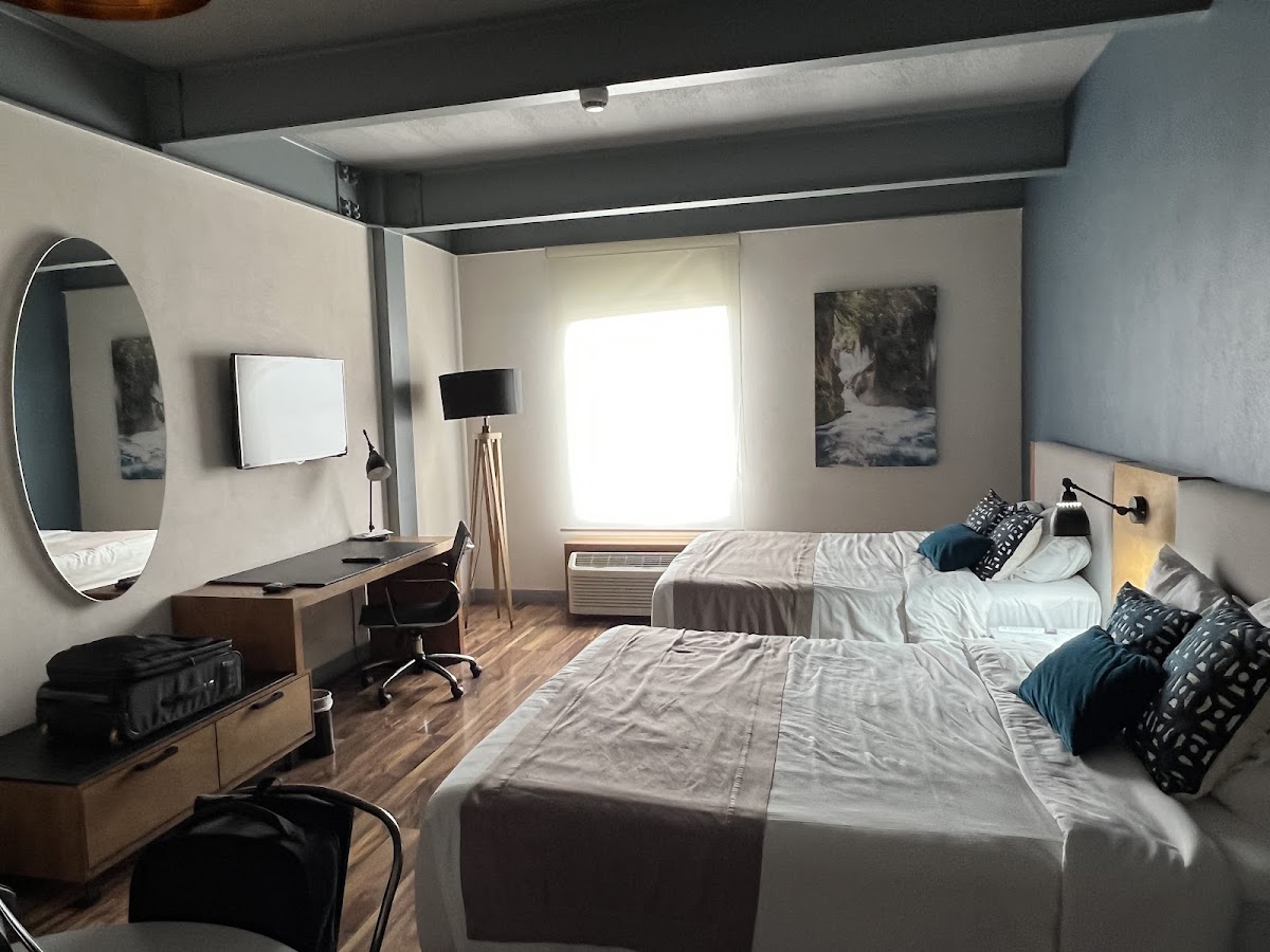 TRYP by Wyndham San Luis Potosi photo 2