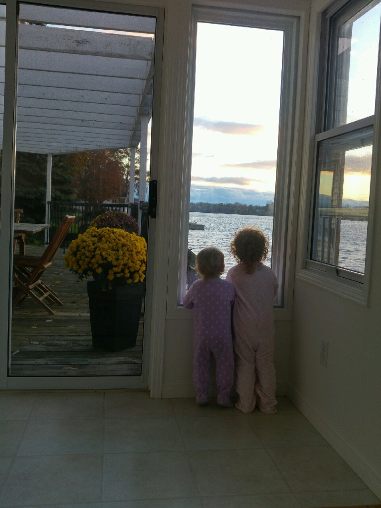 Shorehill Cottages on the Water photo 2