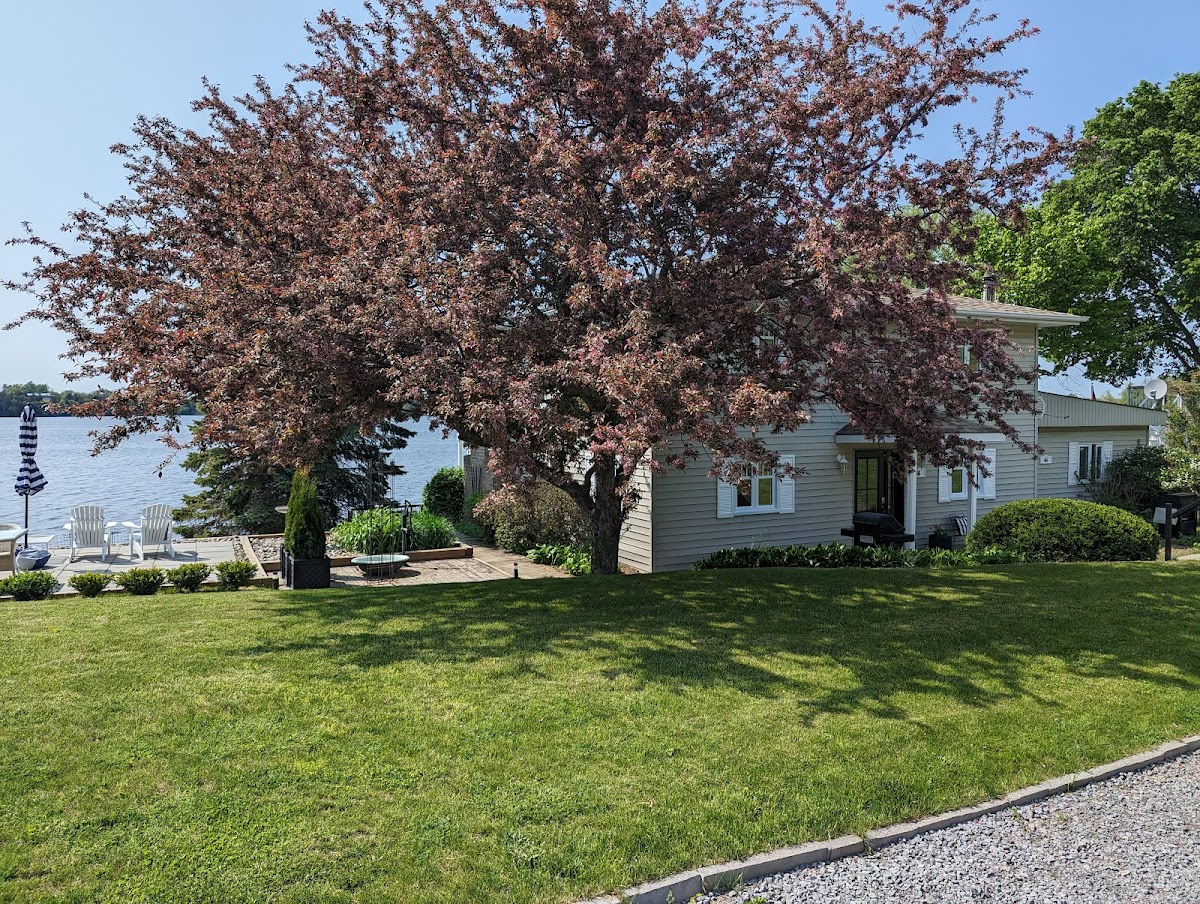 Shorehill Cottages on the Water photo 3