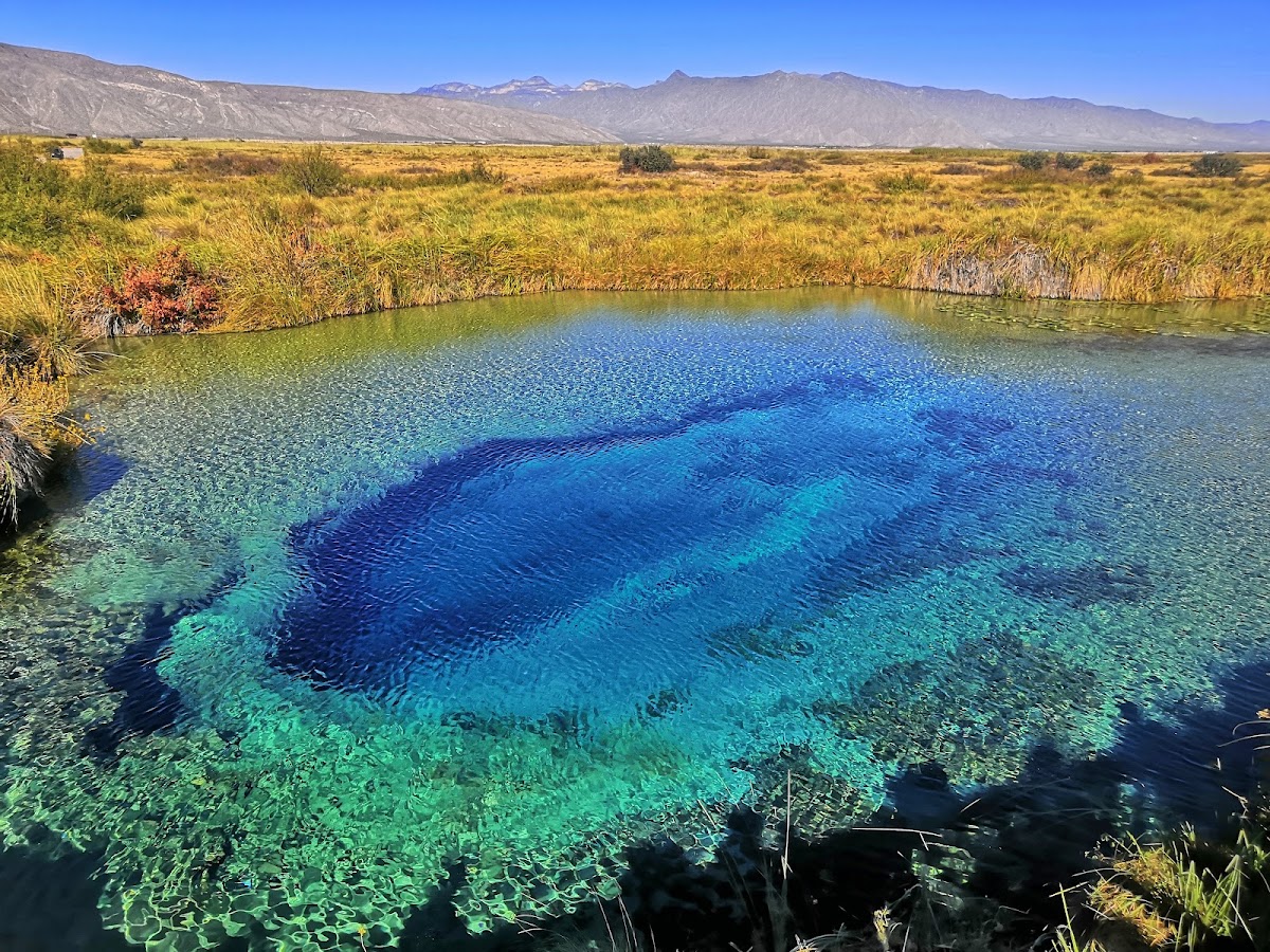 Poza Azul