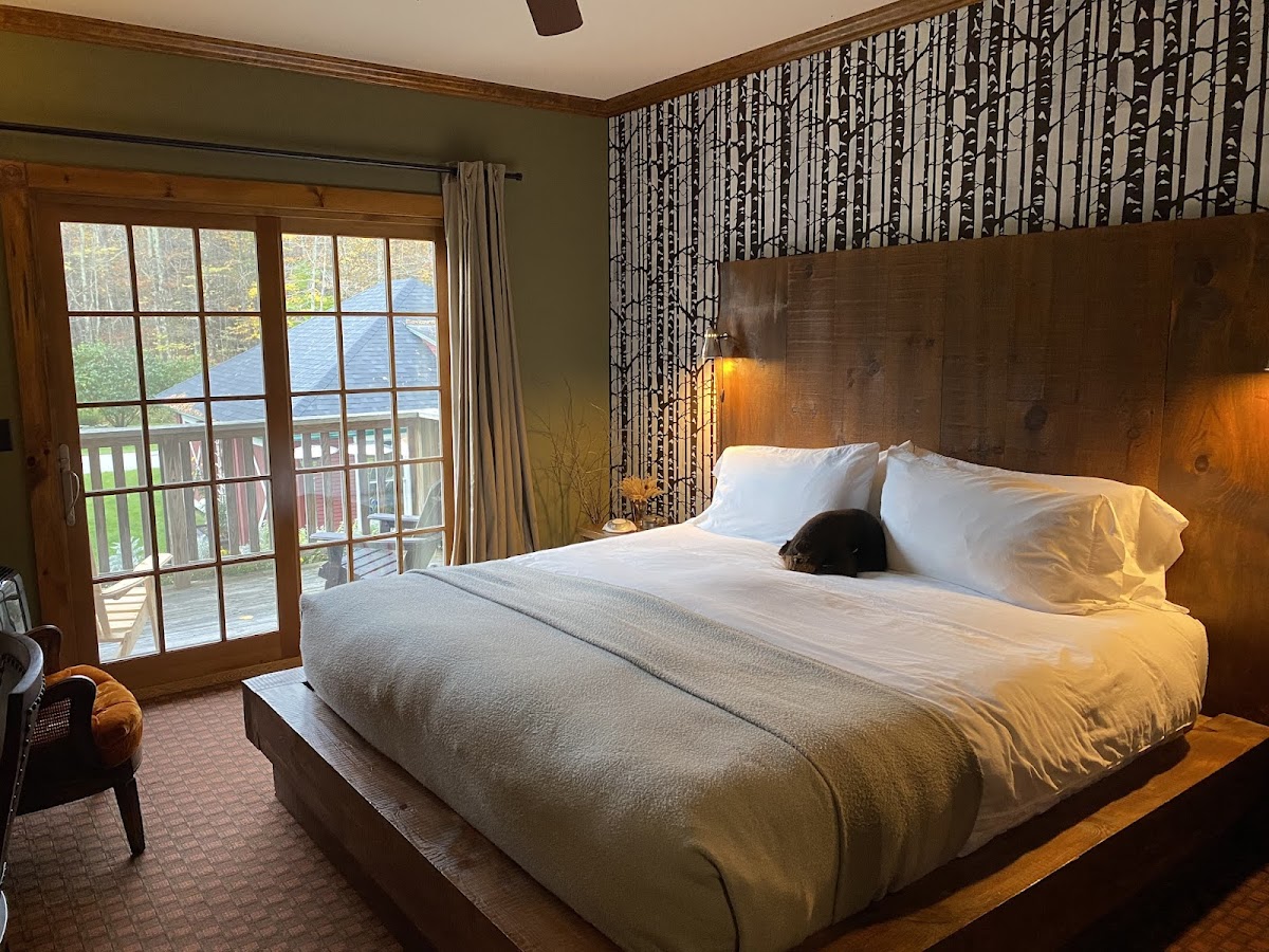 The INN photo 2