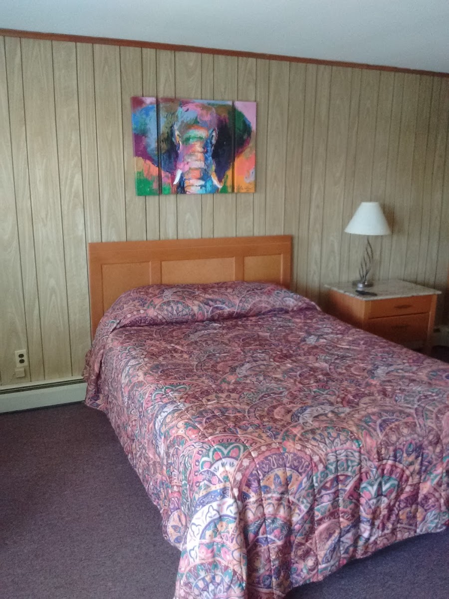 Bluebird Motel photo 2